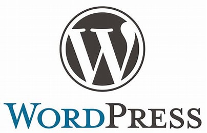 WordPress如何修复“您的网站出现严重”错误？-执笔博客